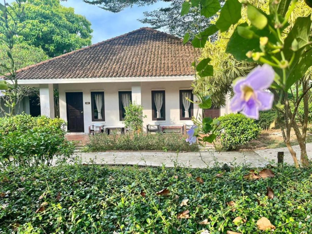 Baan Chuengkao Resort Ρανόνγκ Εξωτερικό φωτογραφία